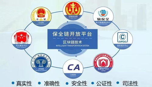 上海发布知识产权强市建设纲要 区块链赋能政务服务，开启知识产权保护新篇章