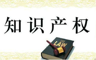 知识产权 创新驱动发展的核心引擎与专业服务体系