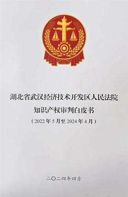 武汉经开法院发布首份知识产权审判白皮书 为创新发展注入司法动能